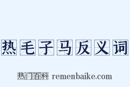 热毛子马反义词是什么意思的图片